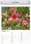 Bildkalender 