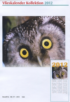 Kalender 
