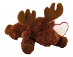 Elch "Knut"