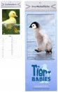Postkartenkalender "Tierbabys"
